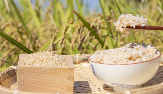 ふるさと納税「玄米」の人気返礼品ランキング